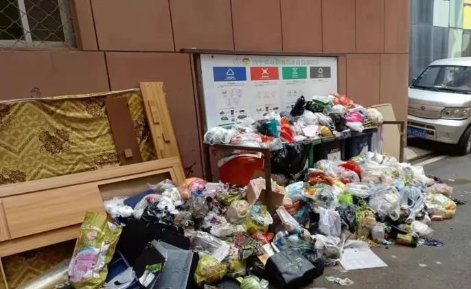 最新调研表明：垃圾分类工作取得实质性成效，但前端分类投放痛点仍普遍存在