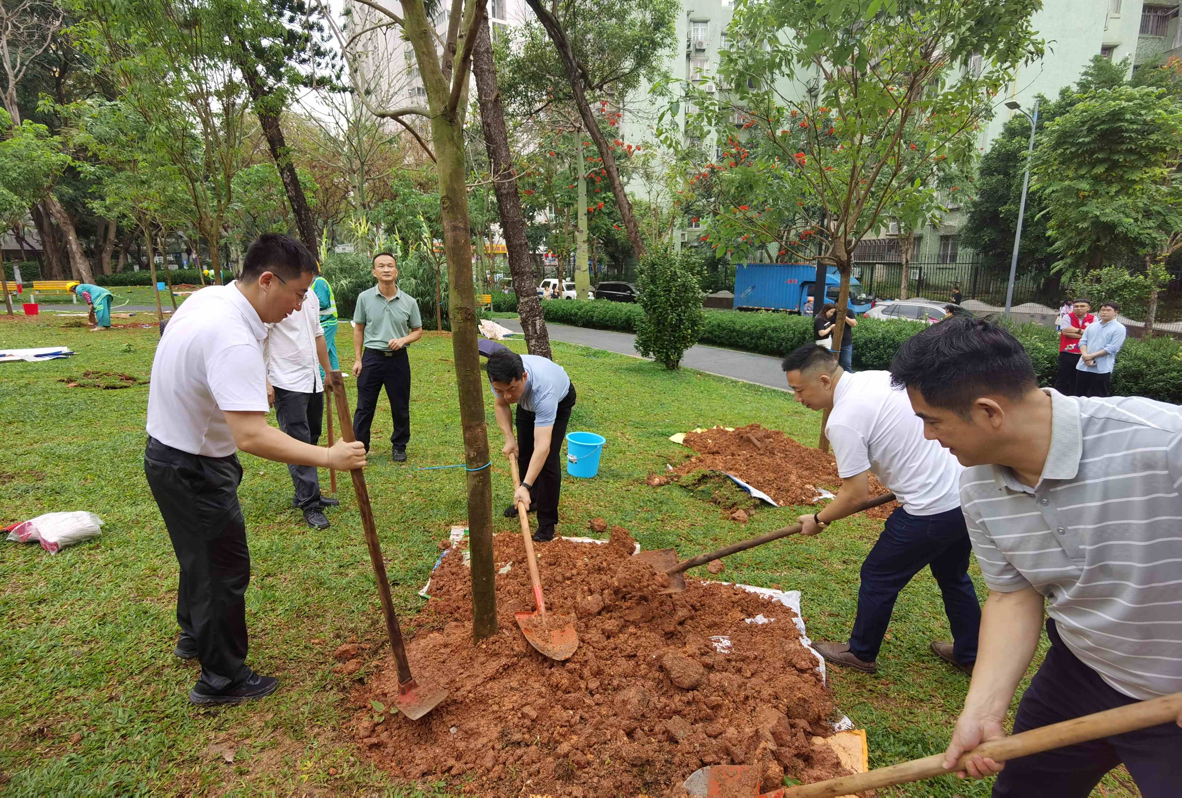 项目动态 | “植”此绿美，共“树”未来